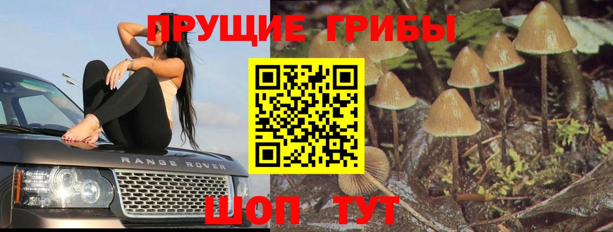 Псилоцибиновые грибы прущие грибы Алушта
