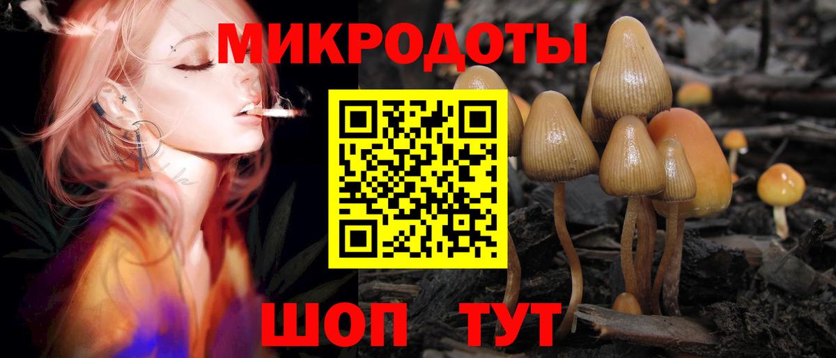 Псилоцибиновые грибы Psilocybe  Галлюциногенные грибы мухоморы  Алушта  что такое   Вход с VPN 